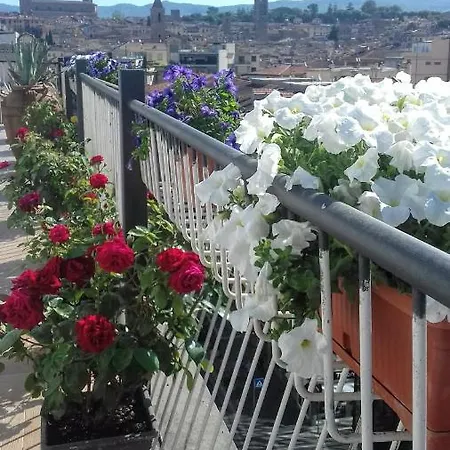 Cameracaffe Centro 3* Arezzo