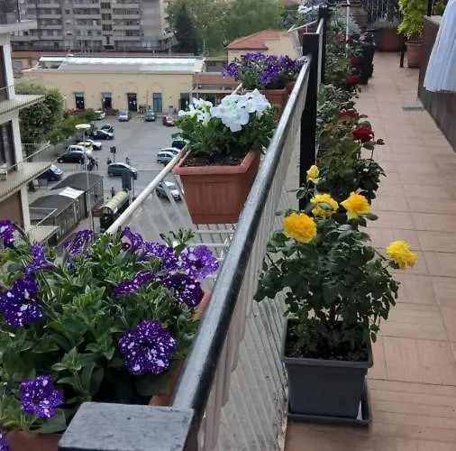 Cameracaffe Centro לינה וארוחת בוקר ארצו